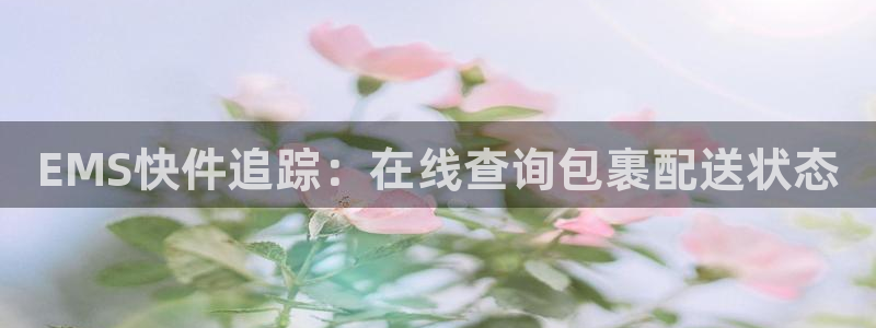28圈新用户怎么注册：EMS快件追踪