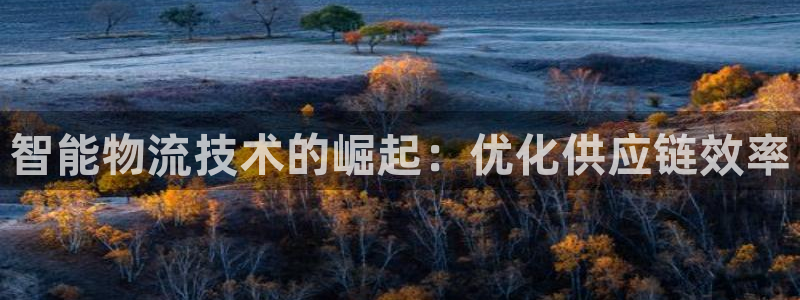 28圈加拿大能提现吗