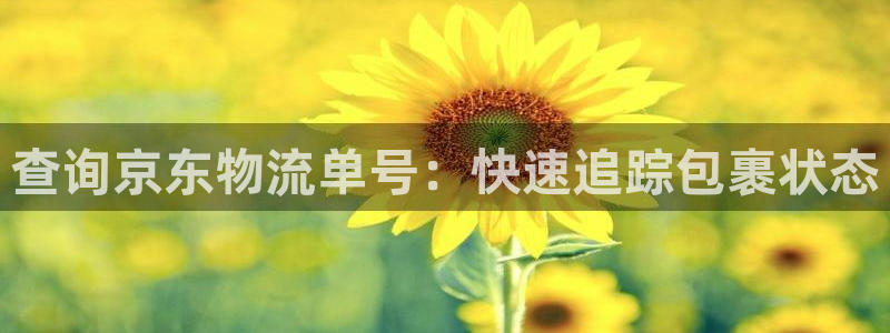 28圈cn