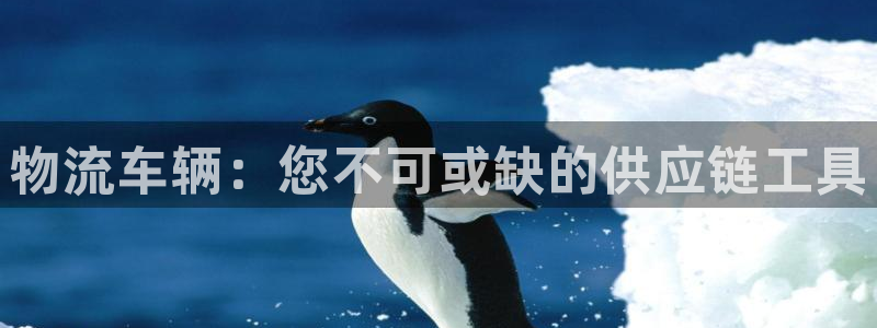 28圈平台注册：物流车辆：您不可或缺