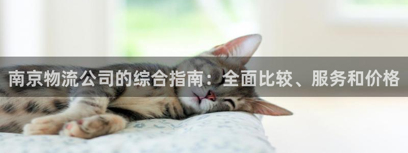 加拿大28圈数字规则