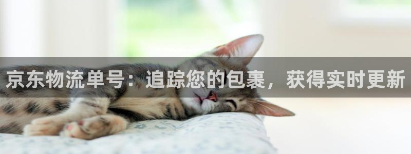 28圈初始资金密码是什么