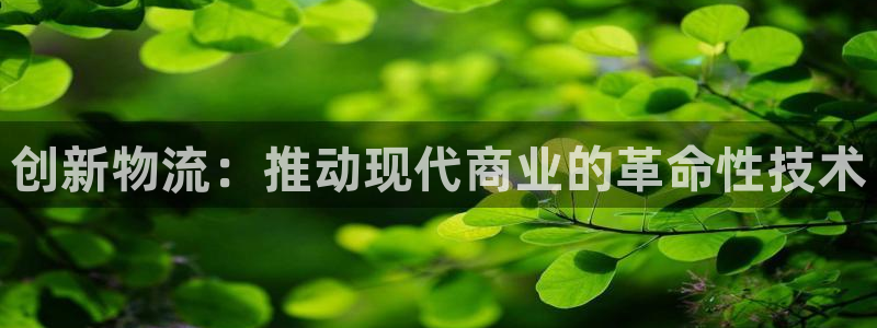 28圈大舞台：创新物流：推动现代商业