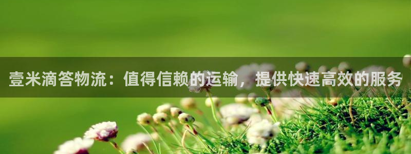28圈网赌案件