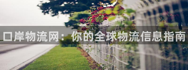 28圈加拿大官网