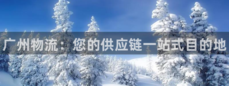 28圈取保