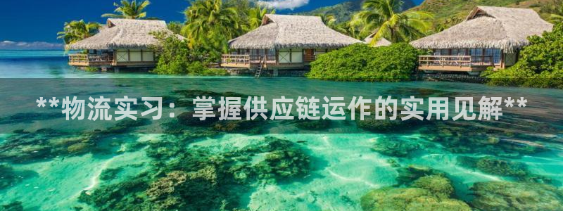 28圈麻将胡了