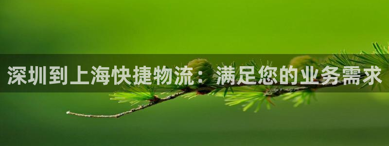 28圈充值金额随便