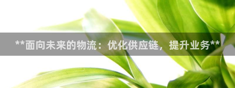 28圈电子游戏