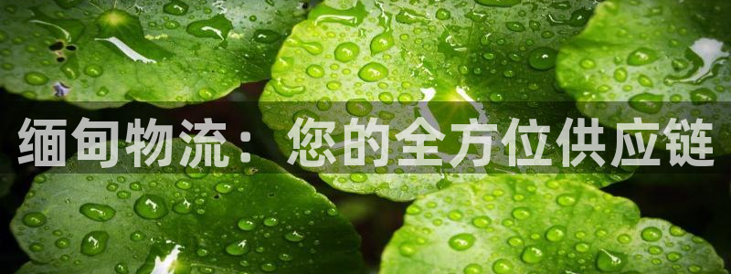 28圈注册限制怎么解除：缅甸物流：您