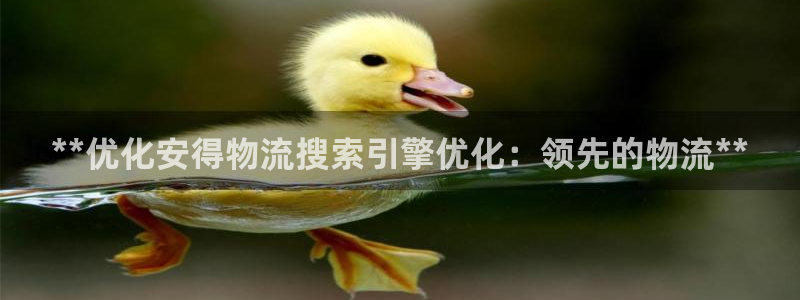 28圈黑钱