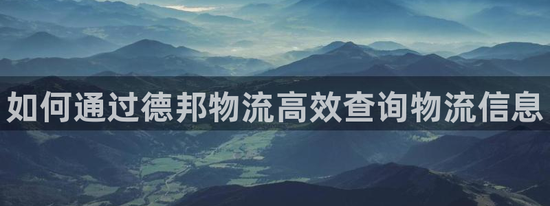 28圈登录流程：如何通过德邦物流高效