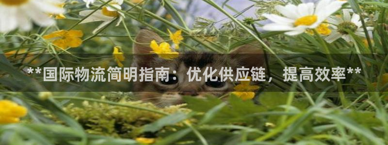 28圈体育下载