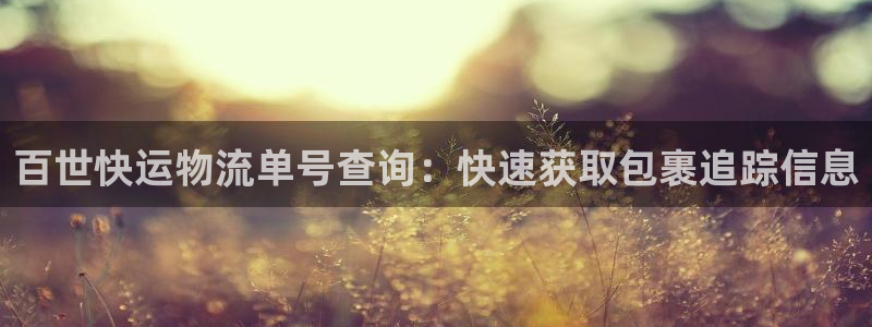 28圈p扣款什么意思