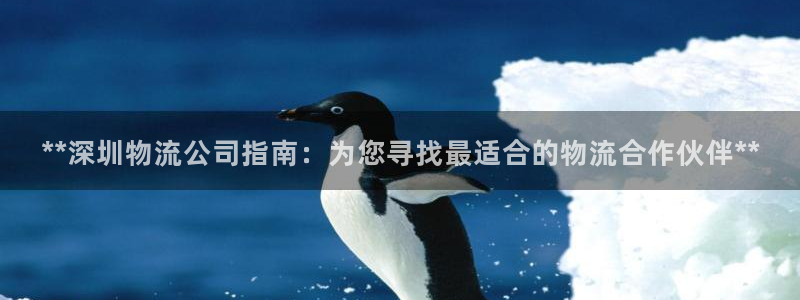 28圈注册网页版：**深圳物流公司指