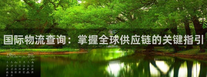 28圈在线预测官网