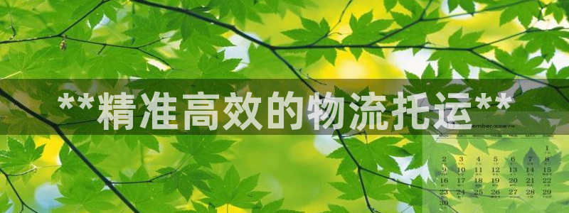 28圈娱乐官网网页下载