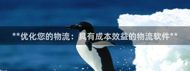 28圈登录不上咋回事：**优化您的物