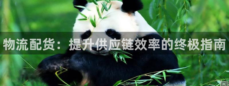 28圈加拿大模拟器