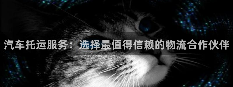 28圈加拿大28