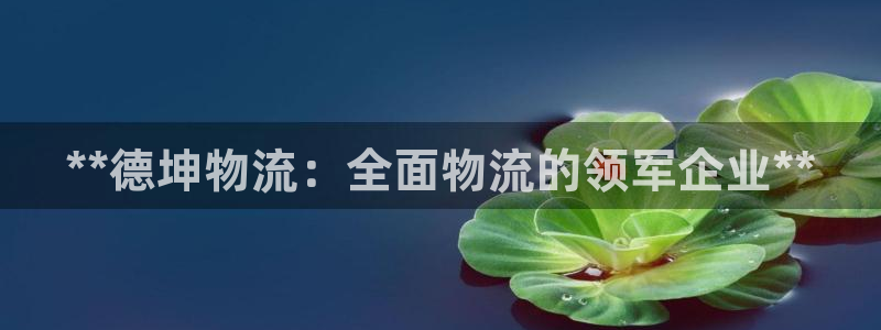 28圈网赌案件