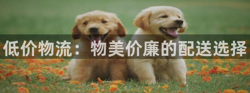 28圈在线预测