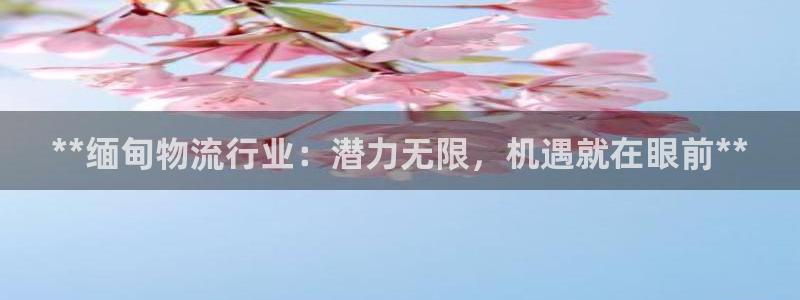28圈平台注册：**缅甸物流行业：潜