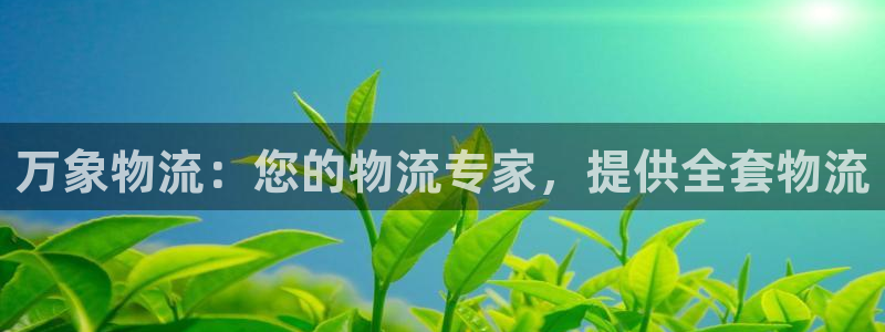 28圈正规吗：万象物流：您的物流专家