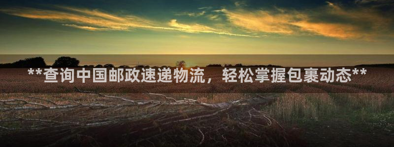 28圈官方平台