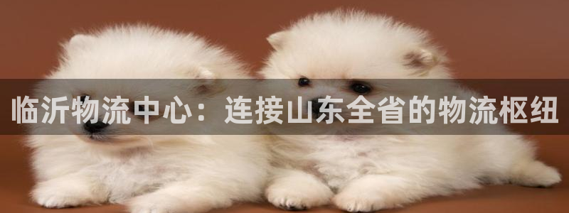 28圈注册网站APP：临沂物流中心：