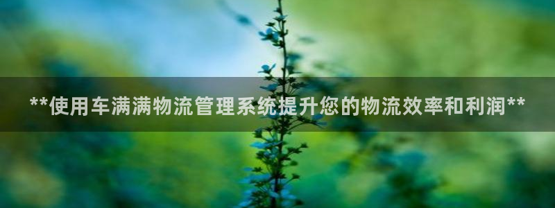 28圈登录：**使用车满满物流管理系