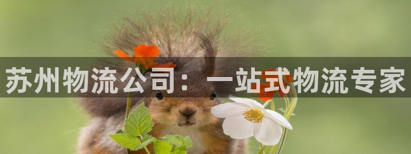 28圈登录网：苏州物流公司：一站式物