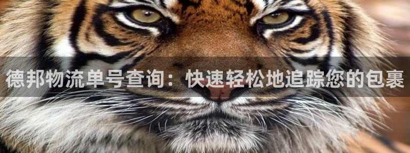 28圈注册网站多少：德邦物流单号查询