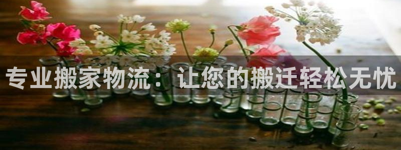 28圈.ccmpc28