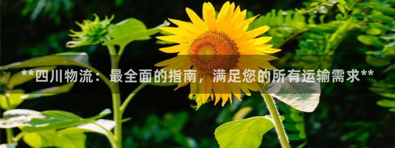 南宫28圈官网：**四川物流：最全面