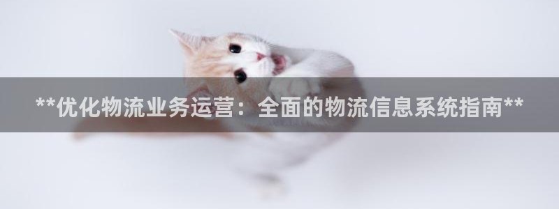 28圈游戏官网入口