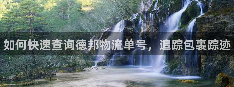 28圈网站平台