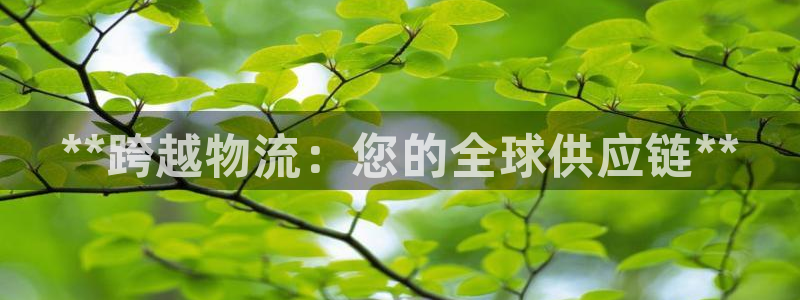 28圈推广链接是多少：**跨越物流：