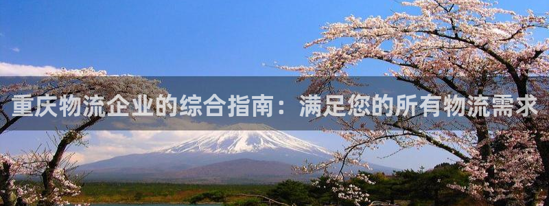 28圈注册网站链接是什么：重庆物流企