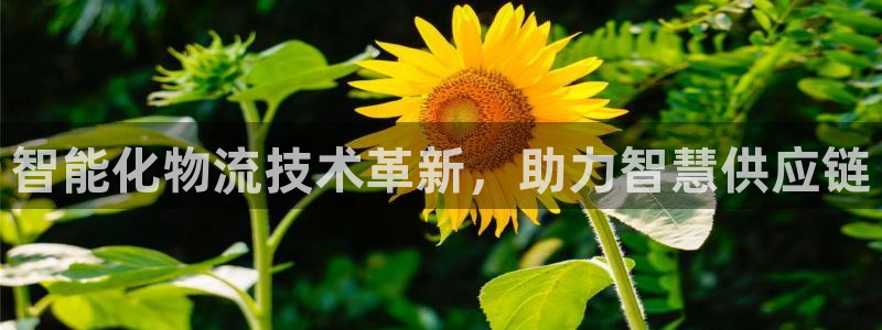 28圈推广链接是多少钱一个