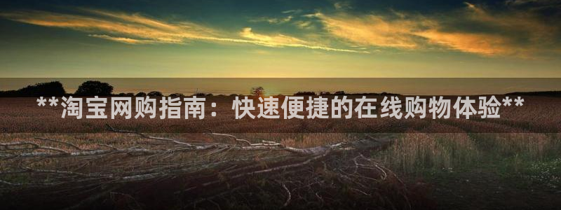 28圈登录：**淘宝网购指南：快速便