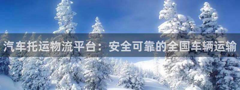 28圈加拿大6.0：汽车托运物流平台