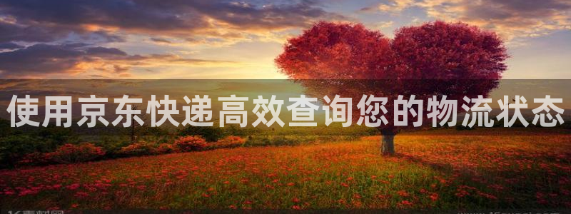 28圈注册与教程：使用京东快递高效查