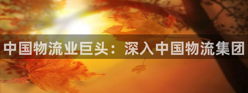 28圈的平台