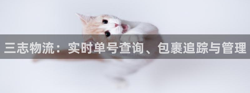 28圈里的财神