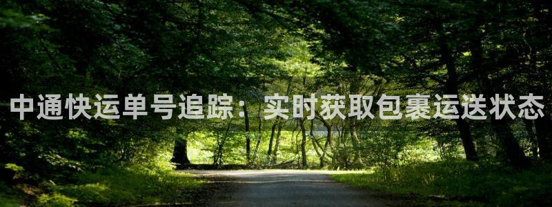 28圈的自行车