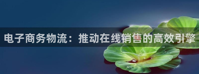28圈怎么注册下载：电子商务物流：推