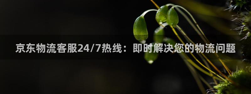 28圈aPP退款