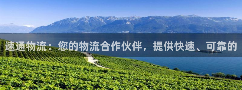 28圈提现不到账