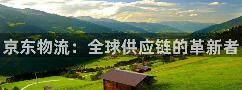 28圈注册网页版：京东物流：全球供应